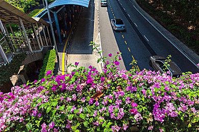 恐怖游戏《逃离食人族一家》上架Steam 帮少女逃脱